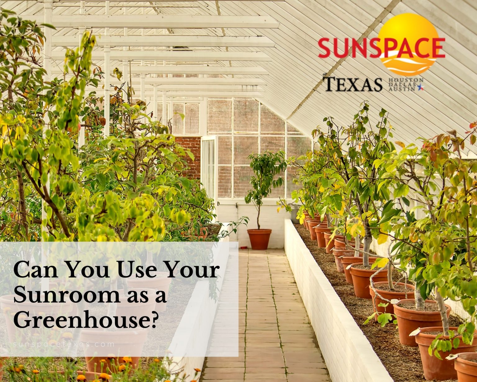 Can You Use Your Sunroom as a Greenhouse? Sunspace Sunrooms